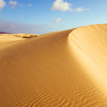 Fuerteventura, Althay vom  bis , für 251,- Euro p.P.