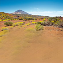 Teneriffa, Cordial Golf Plaza vom  bis , für 239,- Euro p.P.
