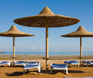 Hurghada & Safaga, Turtle's Inn vom  bis , für 280,- Euro p.P.