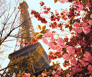 Paris & Umgebung, Victoria vom bis , für 42,- Euro p.P.