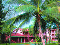Hotel Riu Lupita