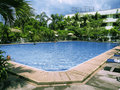 Palm Garden