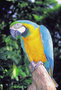 Erlebnis Iguassu-Wasserfälle