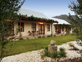 Mimosa Lodge