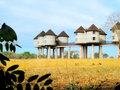 Tsavo West & Taita Hills
