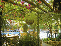 Anik Aparthotel