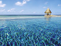 Vivanta by Taj - Coral Reef