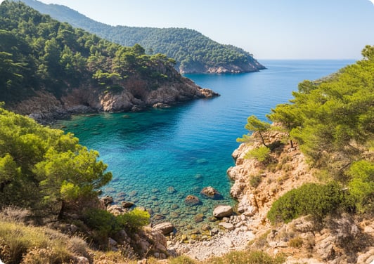 tui astrotravel reiseziele widder