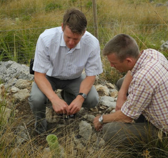 Umweltexperte Harald Zeiss (links) und ein mallorquinischer Förster begutachten Setzlinge im Wiederaufforstungsprojekt von TUI auf Mallorca