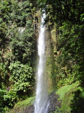 Dominica Wasserfall