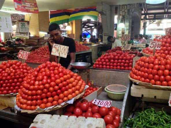 Love Apples Tomaten Mauritius