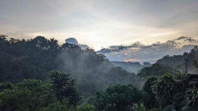 Blick von der privaten Terrasse im The Payogan Villa Resort Spa
