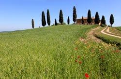 Wunderschöne Landschaft erwartet euch in der Toskana