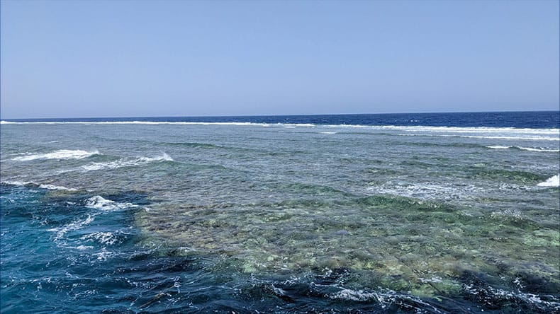 Riff in der Nähe vom Elphinstone