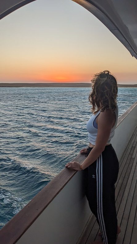 Beim Tauchen in Ägypten kommt man einer Tauchsafari nicht vorbei