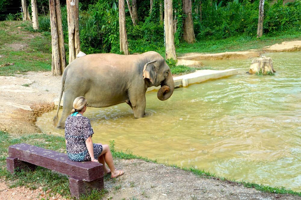 Der Elefant und ich