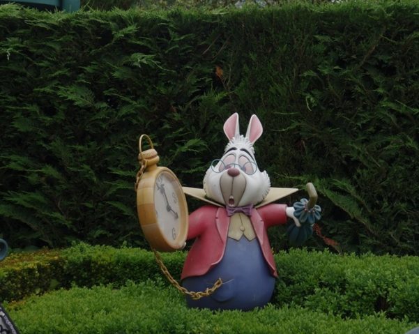 Alice's Curious Labyrinth