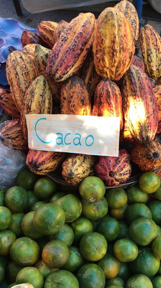 Bolivien Kakao