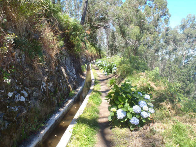 Levadas (künstliche Wasserläufe) auf Madeira