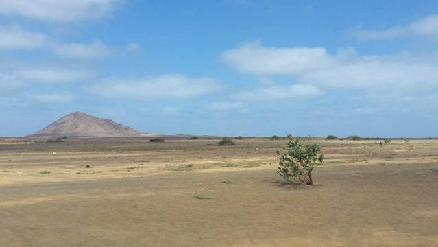 Die Terra Boa auf der Insel Sal