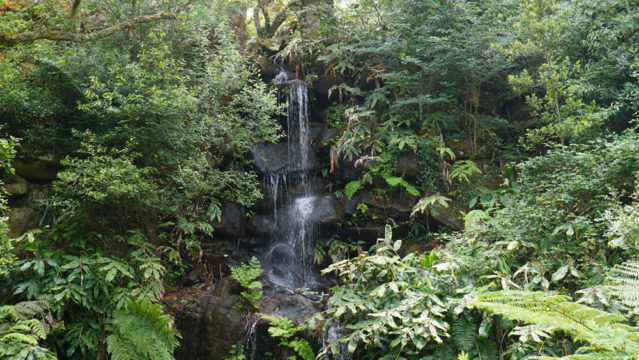 Der Wasserfall im Parque de Monserrate