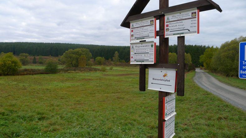 Im Harz erwarten euch zahlreiche Wanderwege und Lehrpfade!