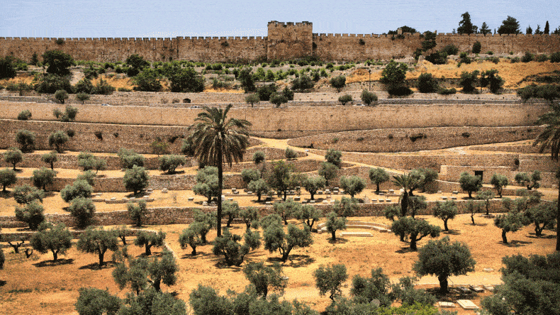 Der Olive Mount in Jerusalem (Coypright: itraveljerusalem)