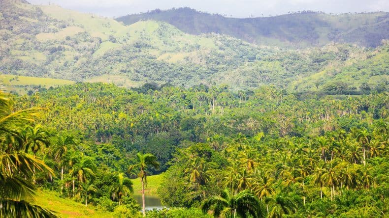 Saftig grün ist das Hinterland der Dominikanischen Republik (Shutterstock/laesperanza)