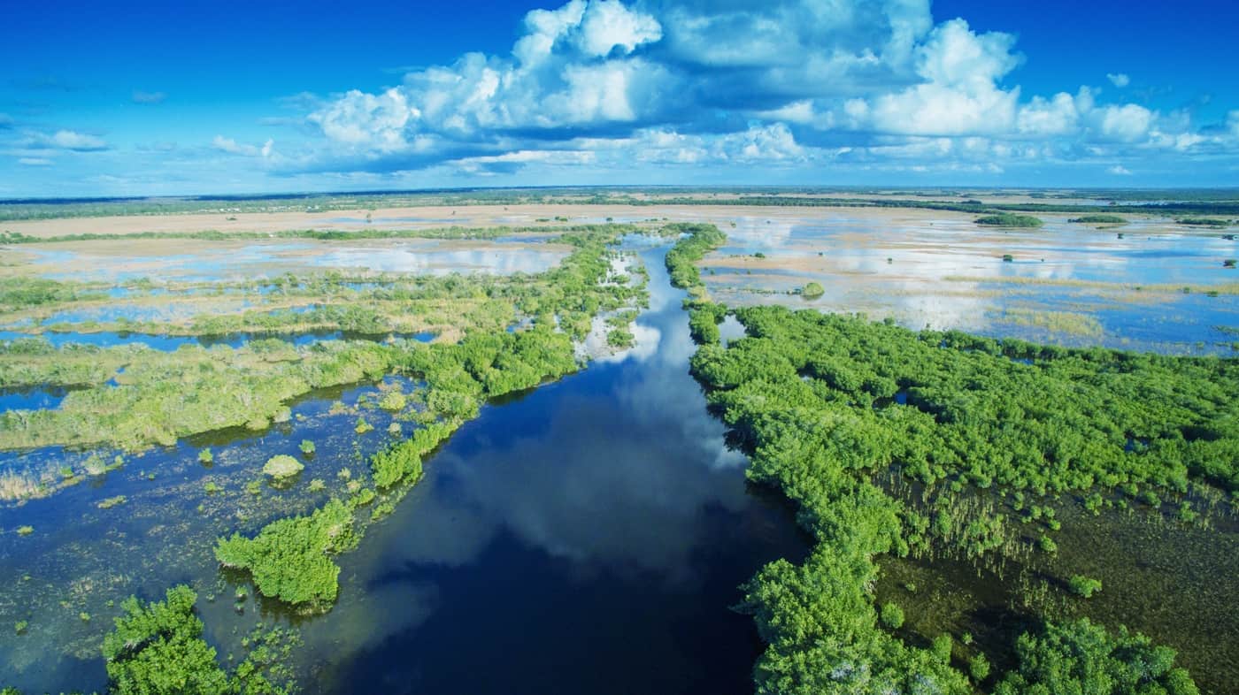 Definitiv einen Besuch wert: Die Everglades