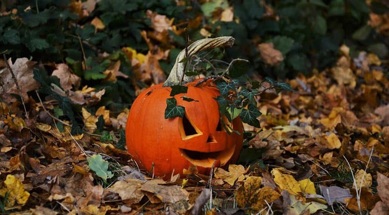Ein spannendes Reiseziel im Oktober ist New York: Hier könnt ihr Halloween mitfeiern!