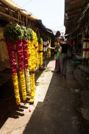 Diese Blumenketten werden oft von Elefanten bei religiösen Paraden getragen.