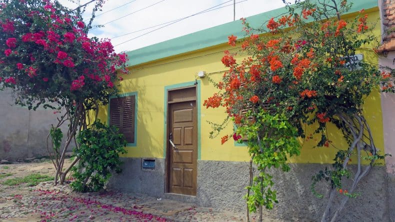 Bunt gestrichene Häuser und üppig wachsende Blumen: In den kapverdischen Dörfern dürft ihr euch auf viele Fotomotive freuen.
