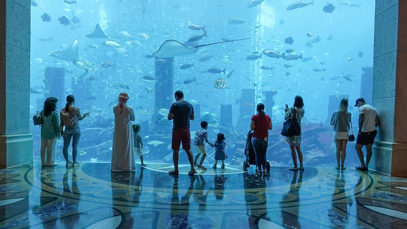 Beeindruckend! Das Lost Chambers Aquarium im Atlantis The Palm