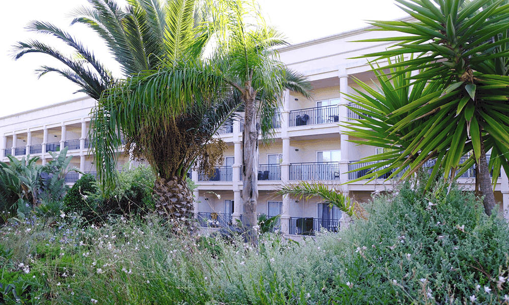 Mein Hotel ist das TUI BLUE Falesia im warmen Süden der Algarve.