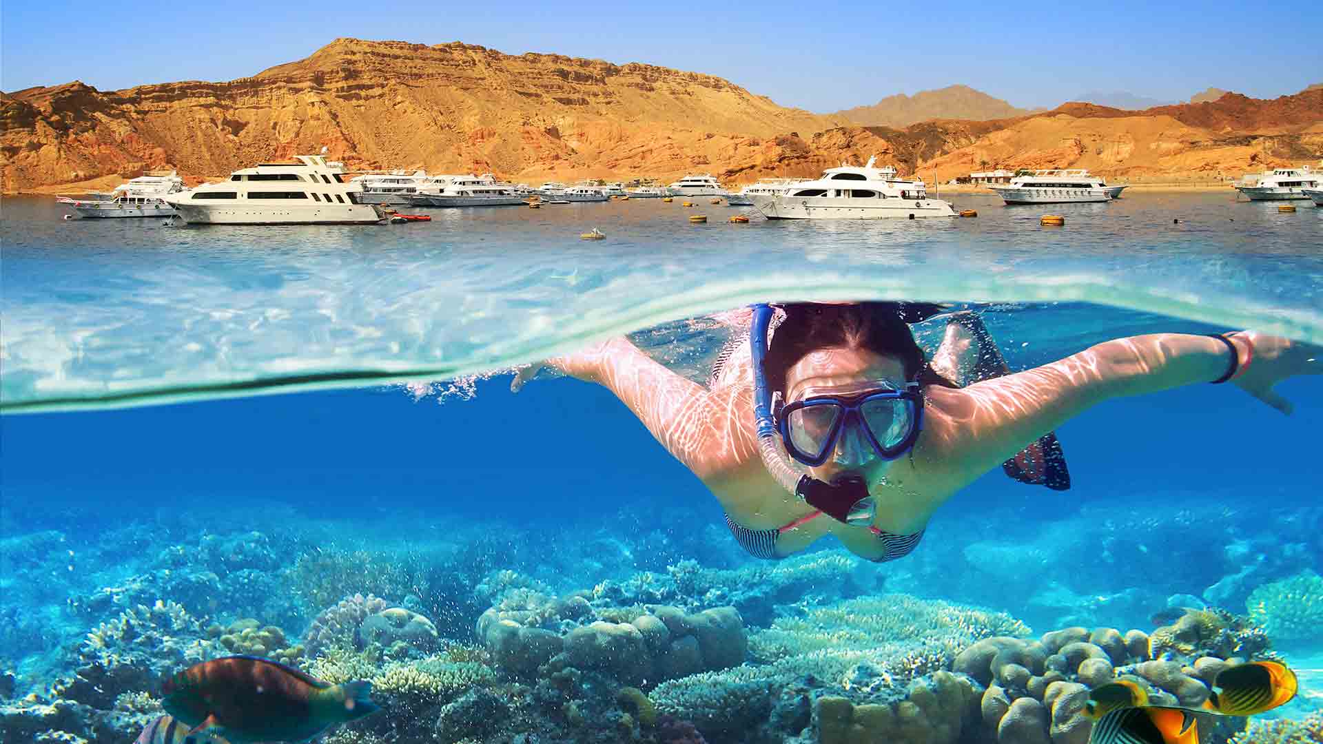 Schnorcheln in Ägypten