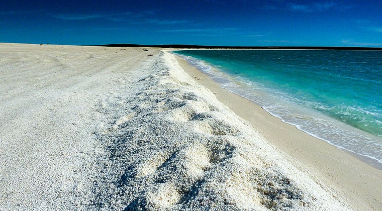 Shell Beach Australien