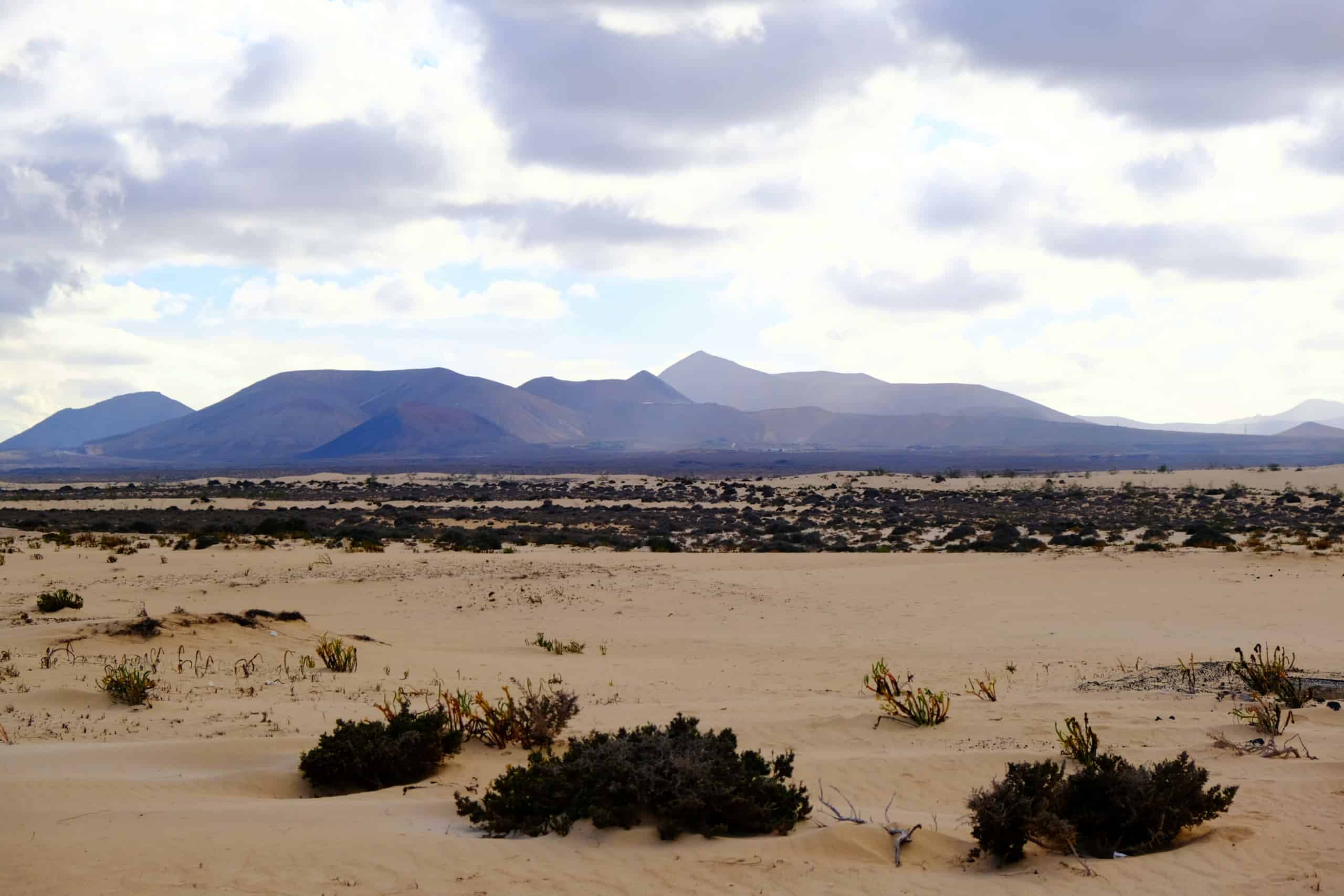 Die Dünen von Corralejo