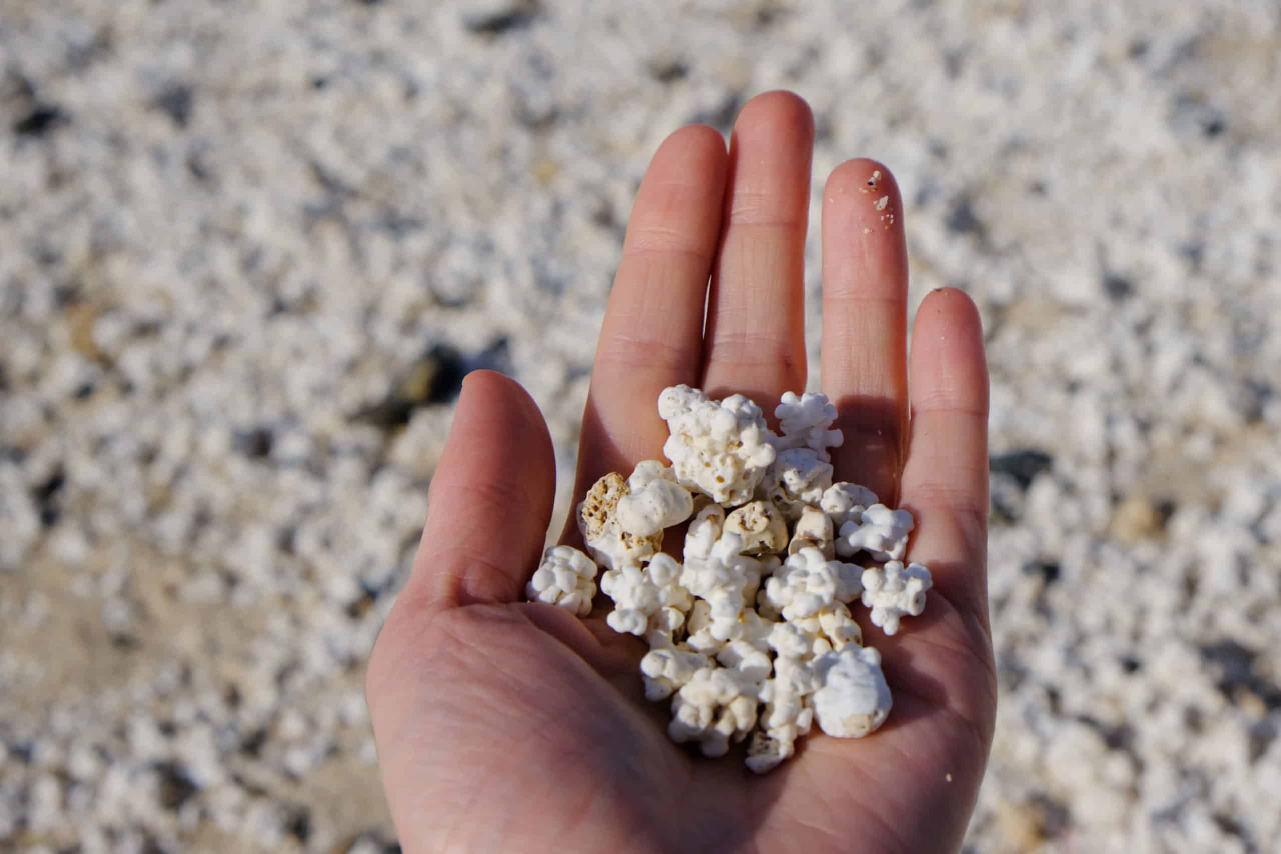 Korallen-Popcorn