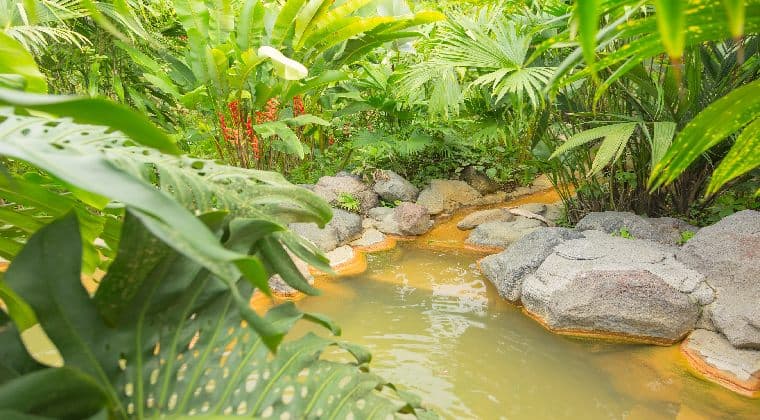 costa rica sehenswürdigkeiten Thermalquellen