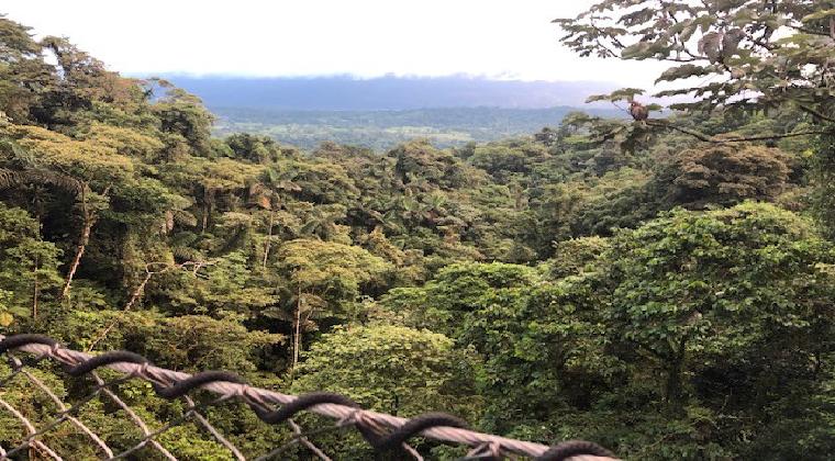 Costa Rica Sehenswürdigkeiten Mistico Arenal Hanging Bridges