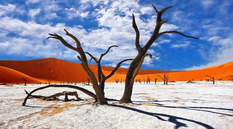 Der See Dead Vlei Namibia