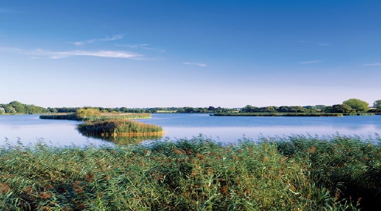 Müritz Nationalpark