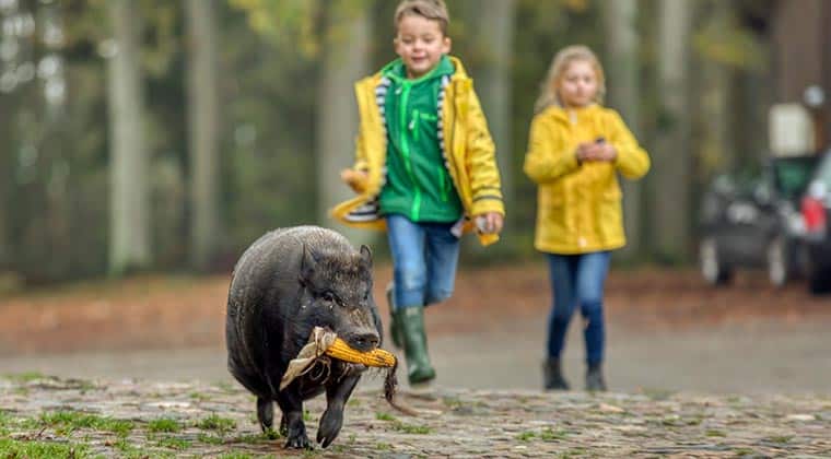 Urlaub mit Kindern in Deutschland an der Nordsee