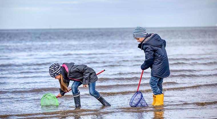 Kinder beim Wattwandern an der Nordsee, Deutschland