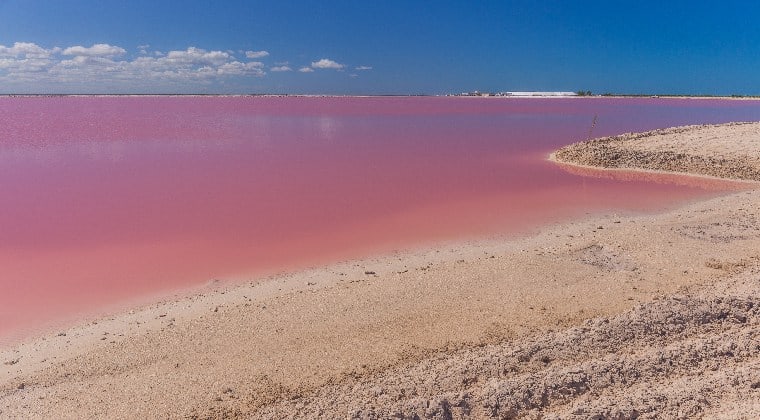 Mexiko Yucatan rosafarbene Lagune Las Coloradas