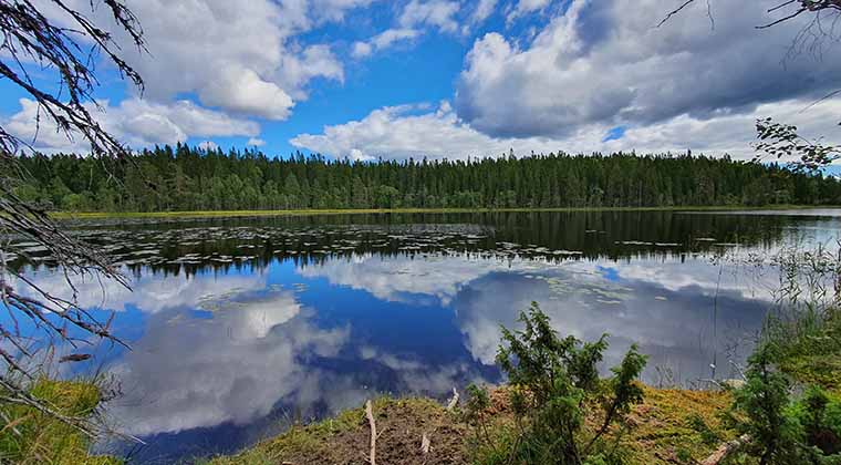 See im Nationalpark Skuleskogen