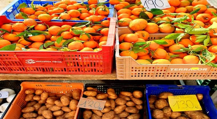 Orangen Markt Mallorca