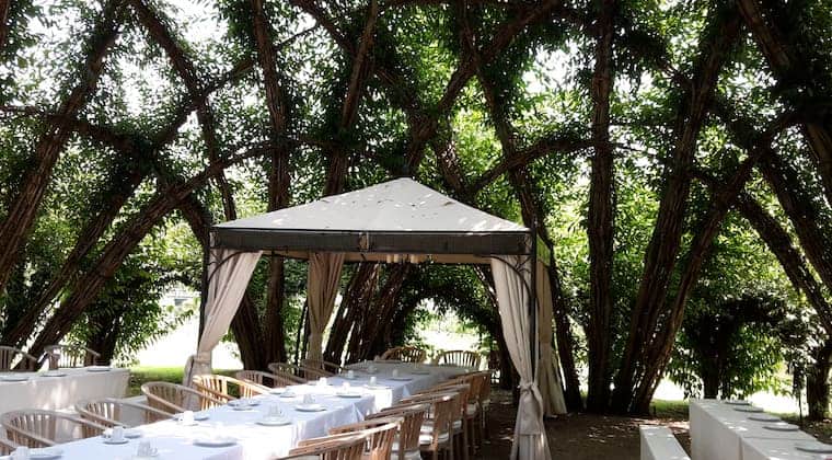 Kaffeetafel im Weidendom in Schlepzig