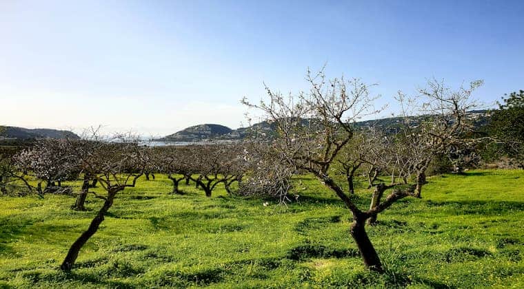 Wandern auf Mallorca nähe Andratx