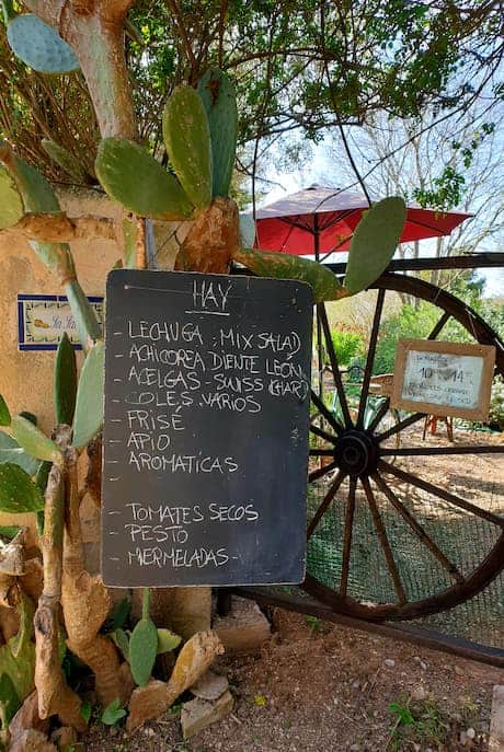 Wandern Mallorca Andratx Hofladen